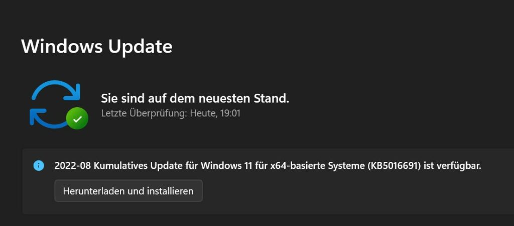 Fehlerhaftes Windows 11 Update - Nicht Installieren